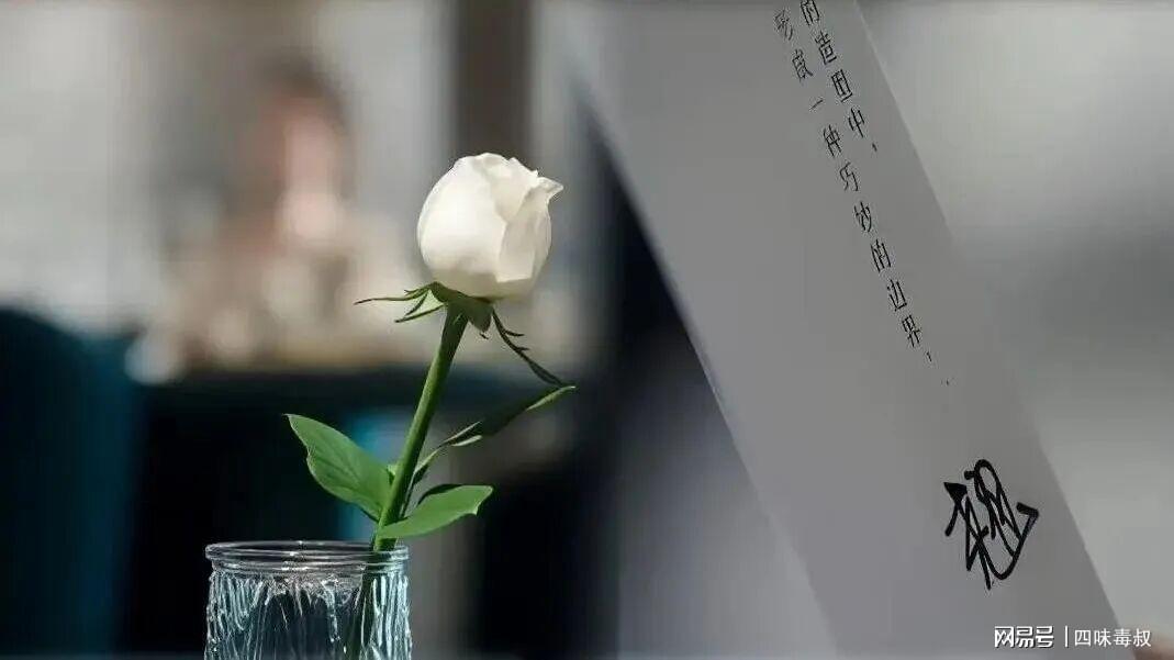 《盛夏芬德拉》，怎么就火成这样了？