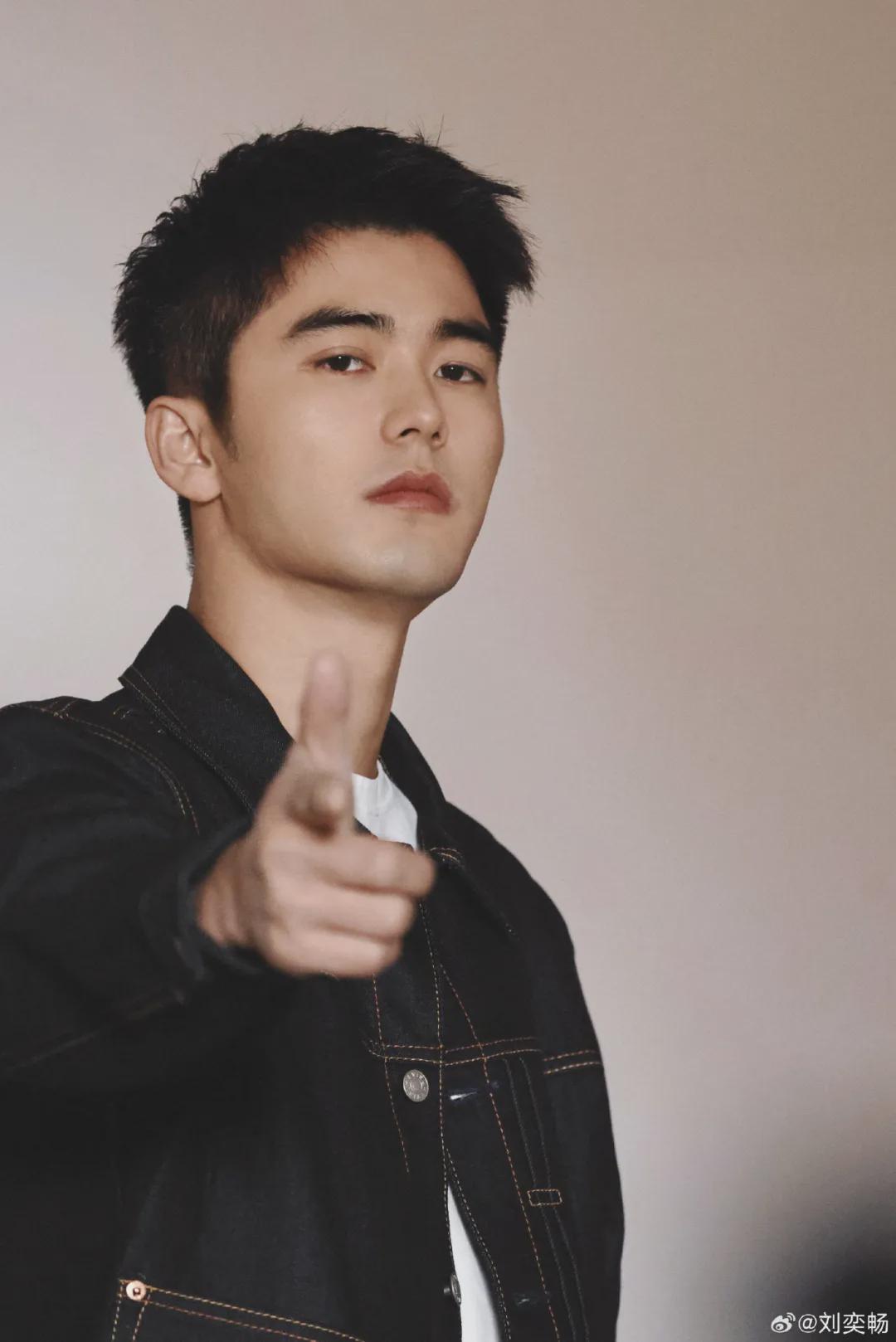 95后男演员刘奕畅因滋事殴打被关看守所，案件进入司法程序