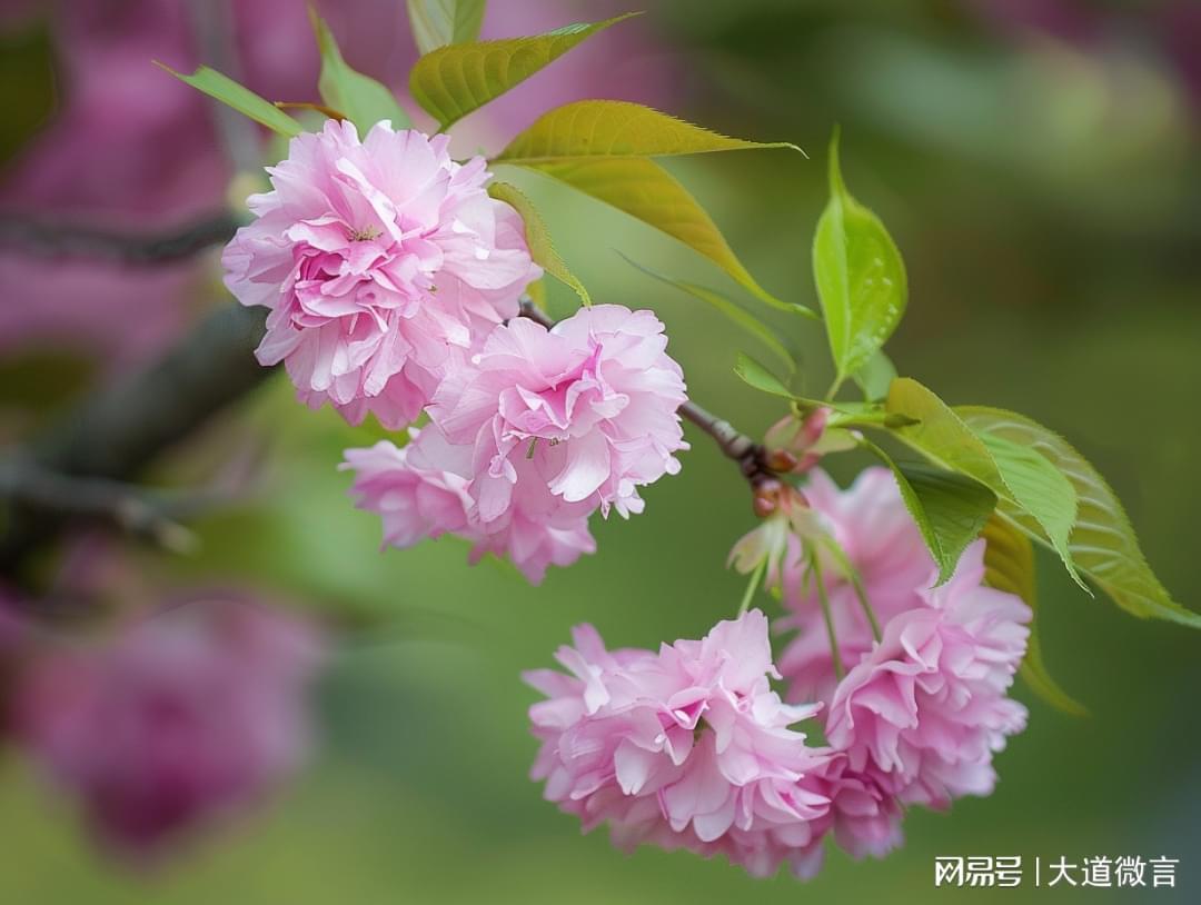 30万车满街跑，30万存款却罕见：消费观念背后的真相