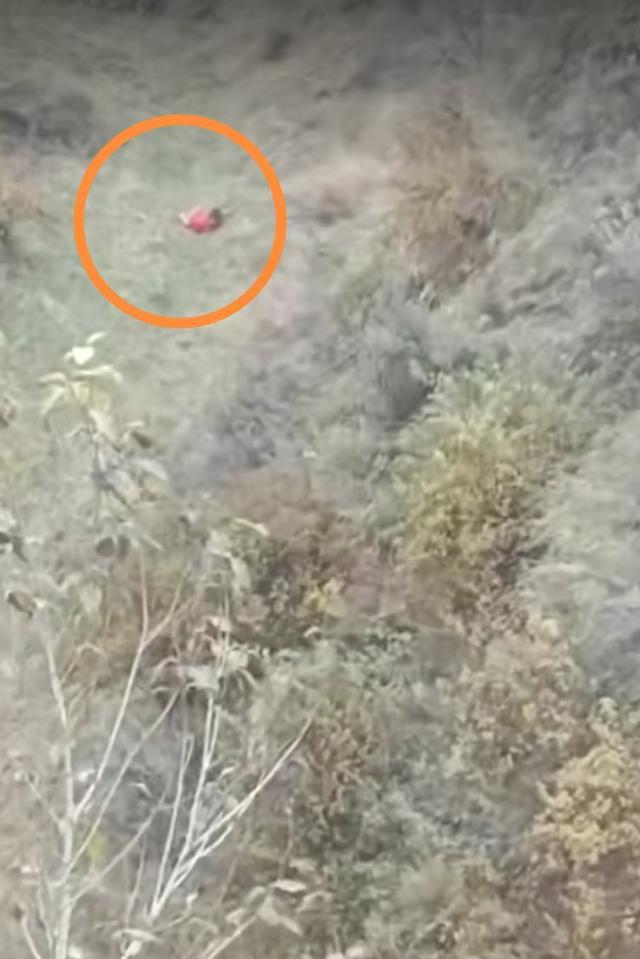 辽宁3岁女童山沟获救，村干部讲述惊险救援经过