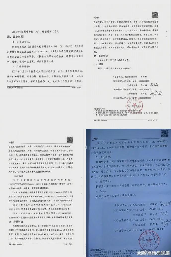 刘奕畅涉案相关图片