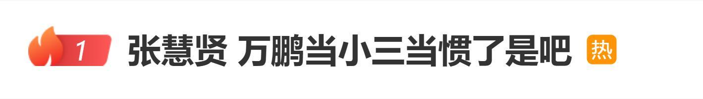 张慧贤指控万鹏介入感情，万鹏方发声明否认不实言论