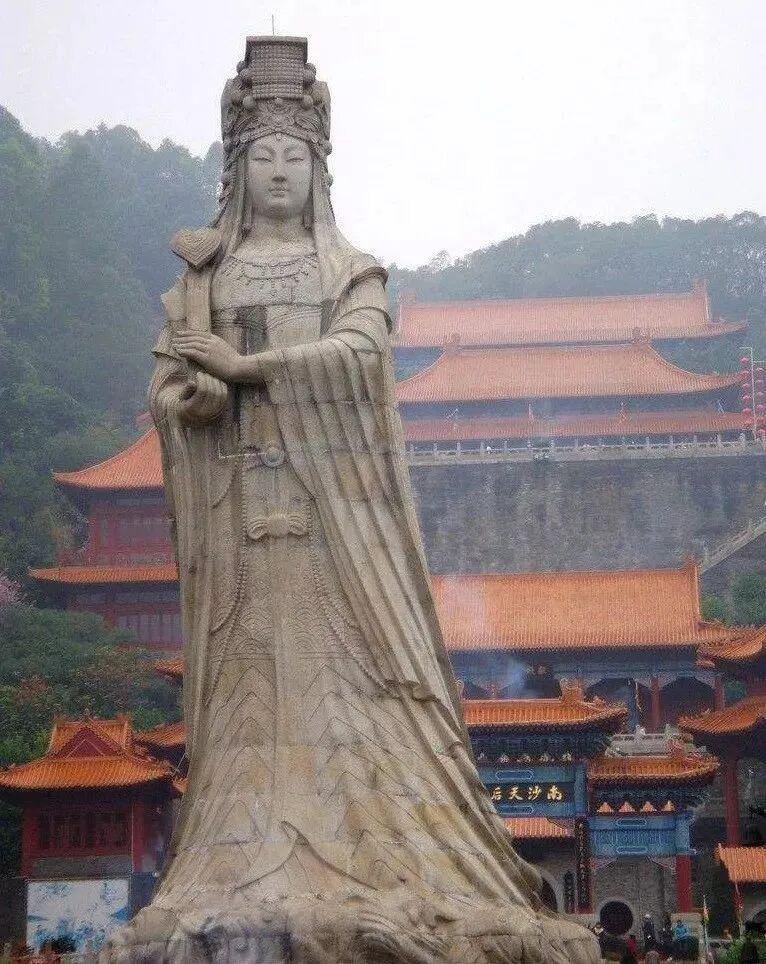 陈志相关资产图片