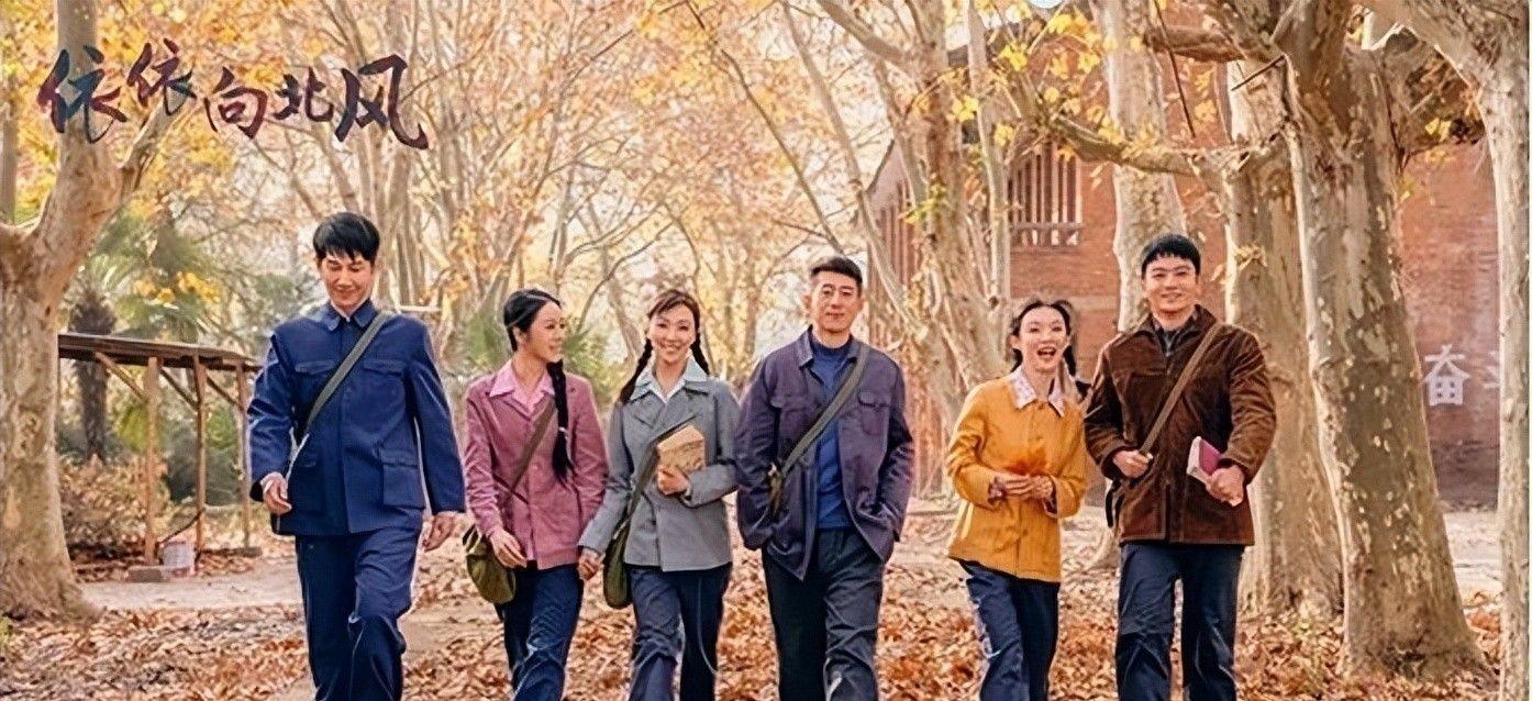 央视年代大剧《依依向北风》首播，真实还原知青岁月