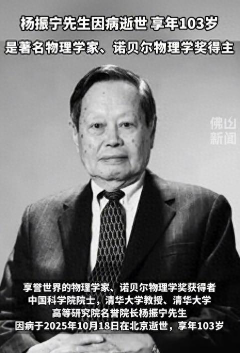 杨振宁临终前对翁帆的深情安排：6字表态引关注