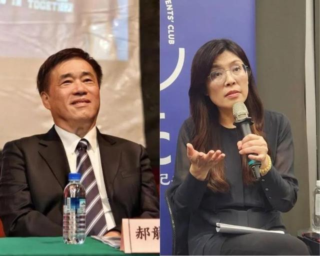 郑丽文当选国民党主席 提出三大原则 郝龙斌呼吁团结