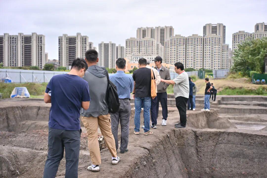 江苏苏州塘北遗址考古重大突破：揭示太湖东部青铜时代文化序列