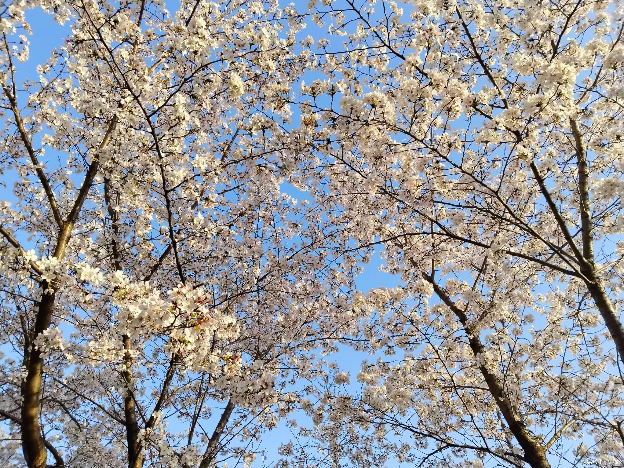 副县长遭排挤后逆袭，任市纪委书记查处原县委书记