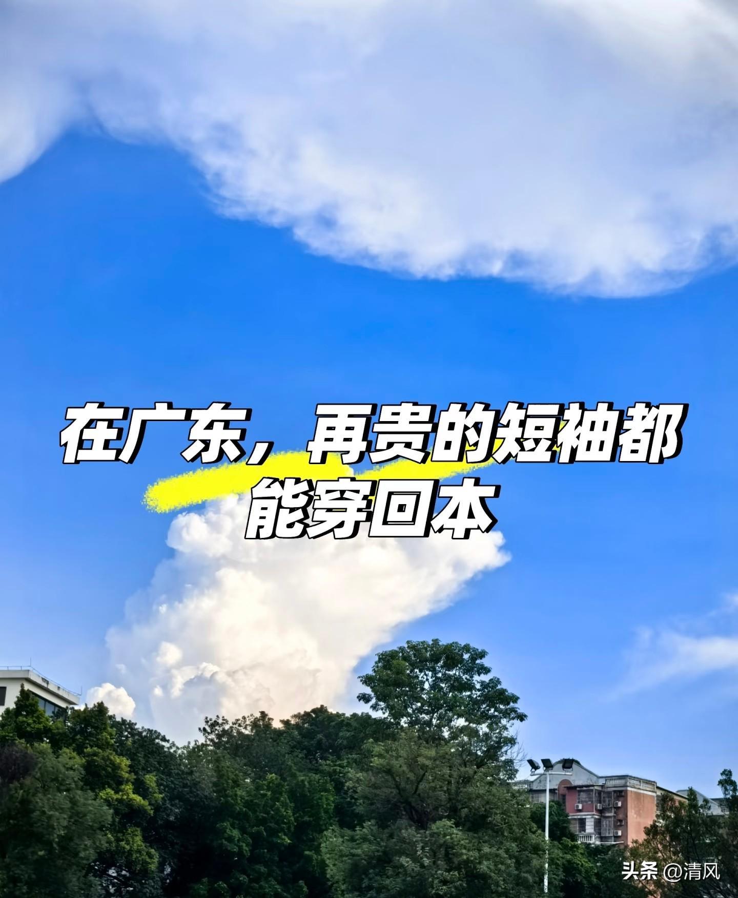 广东短袖‘超长待机’：穿回本不是梦，网友直呼太划算