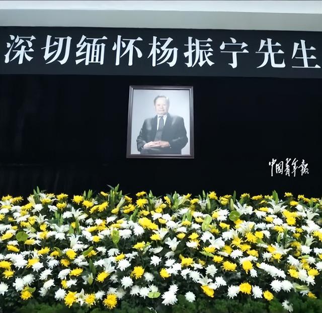 49岁无子女翁帆：杨振宁生前已为她铺好人生路