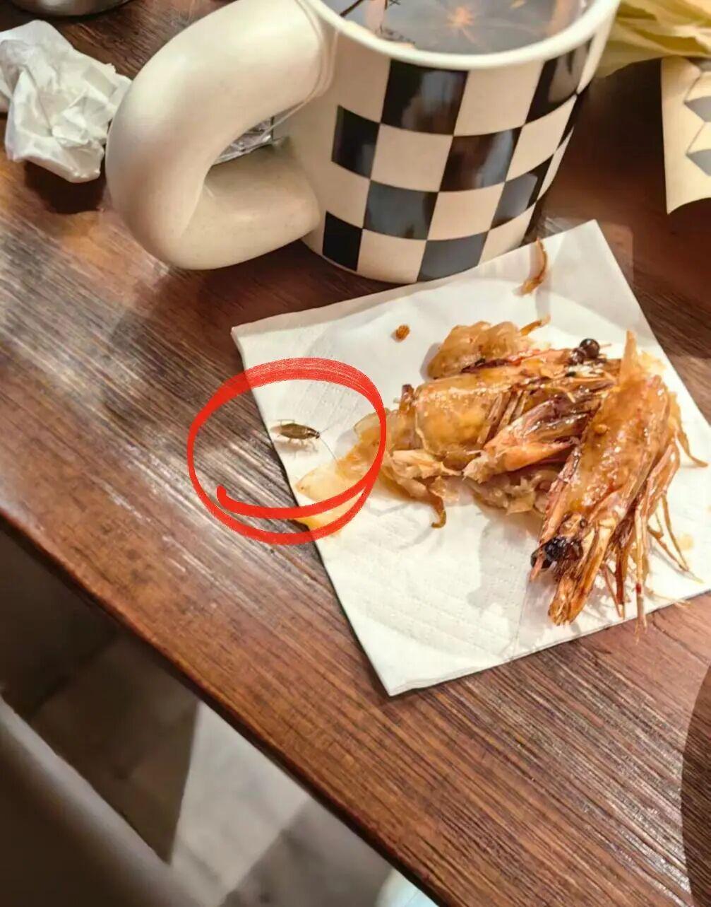 温州万象城餐厅惊现蟑螂满桌爬，卫生状况引担忧
