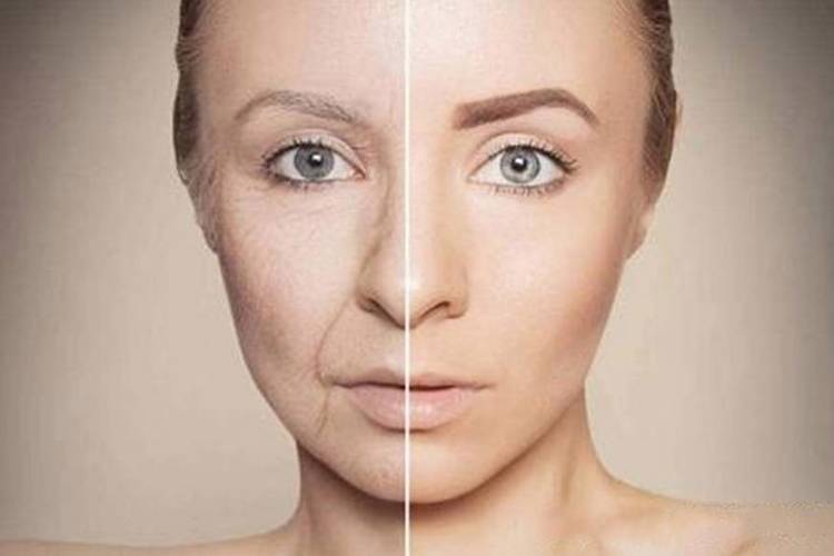 抗衰新策略：人民日报力荐增肌指南，科学增肌延缓衰老