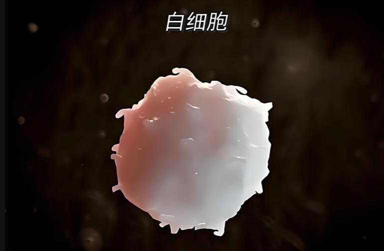 上海交大研究：中老年增强免疫力必吃3种食物，每周5次更有效