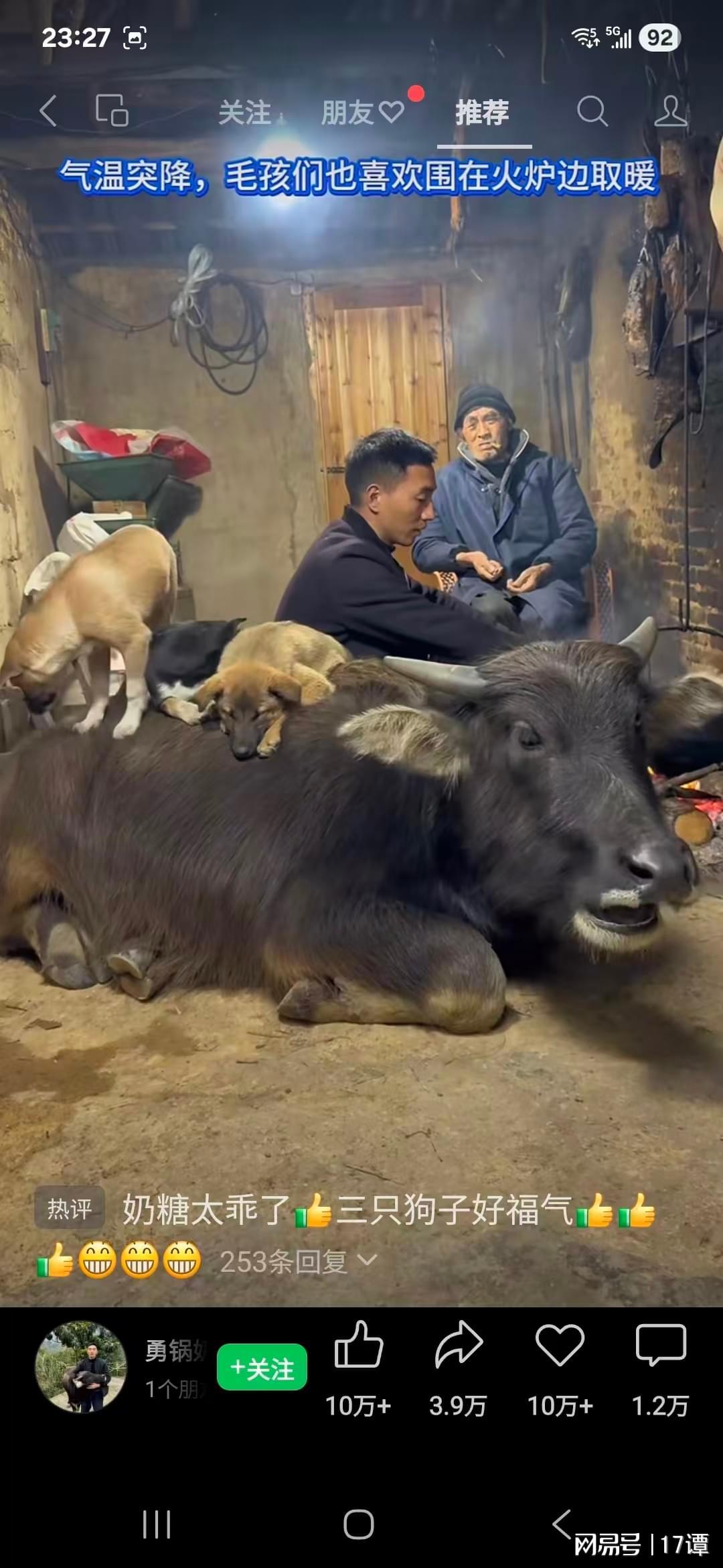 与水牛共处：人宠和谐背后的高贵与浪漫