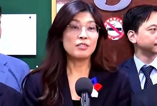 郑丽文提访问大陆后，民进党提出限制条件，郭正亮一句话亮了