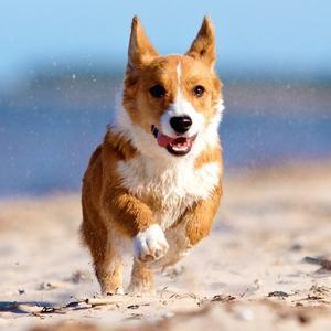 杨振宁大儿子"爆料"？翁帆这波反转，比电视剧还离谱！