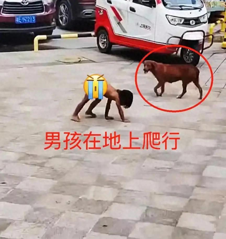 云南野人小孩事件新进展：专家发声，专项组介入，孩子将落户北京