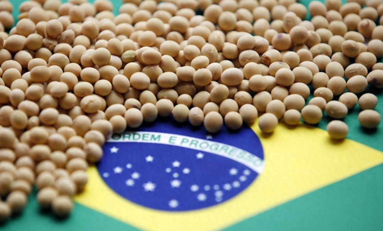巴西大豆对华涨价引发停购潮，中国买家静待两大关键时机