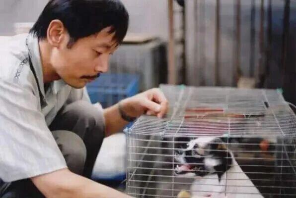 葛优主演《卡拉是条狗》：一部写实主义佳作揭露社会荒诞