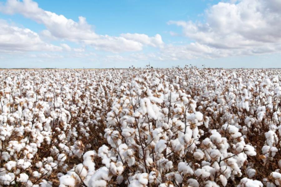 唐宋前无棉被，古人零下几十度如何御寒？揭秘古代取暖智慧