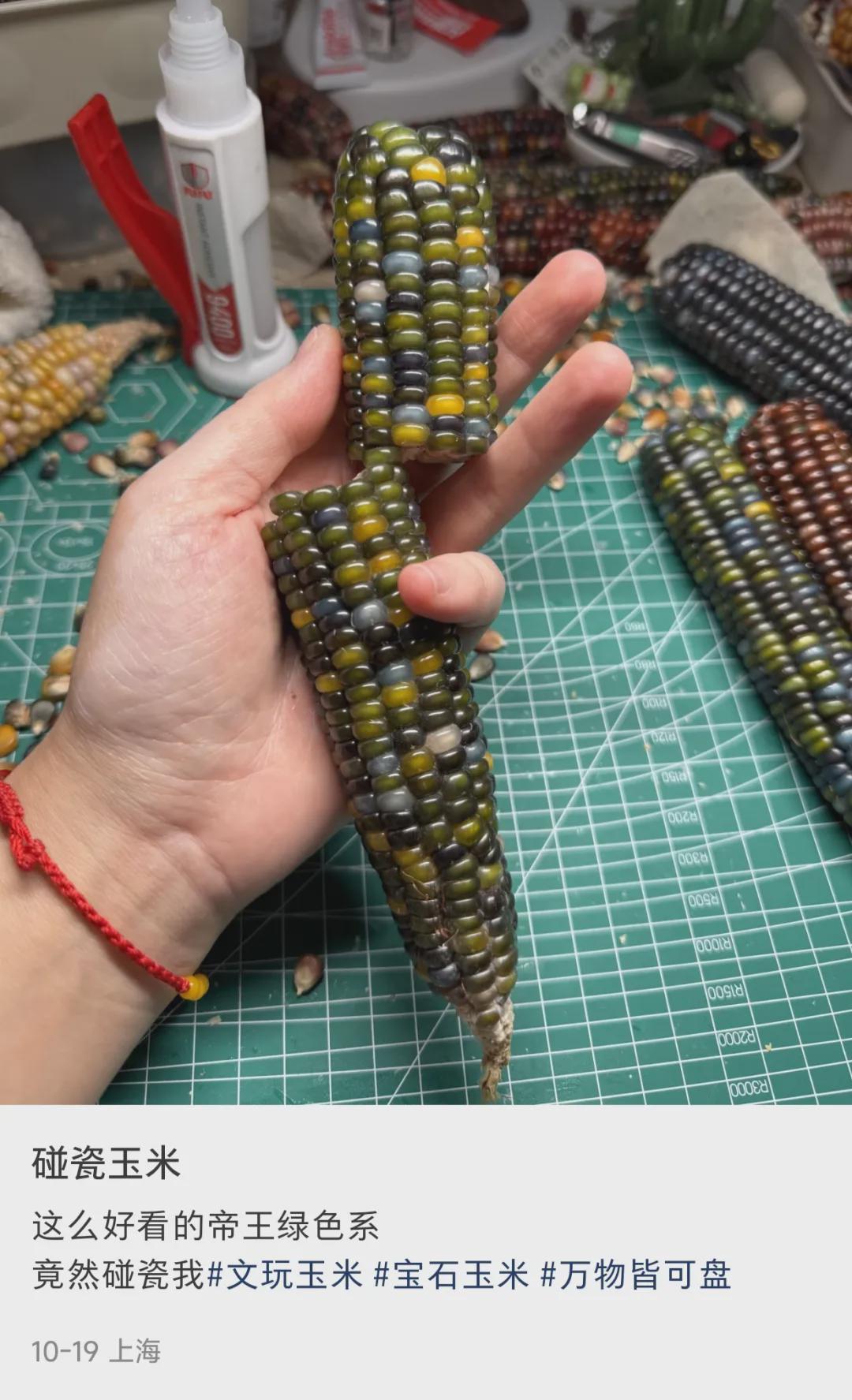 价格炒到上万元！上海年轻人入坑：一“盘”不可收拾！医生提醒↗