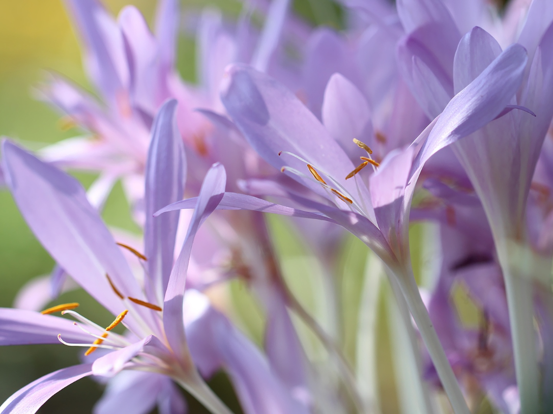 未来3周运势飙升！这3大生肖横财降临，事业爱情双丰收