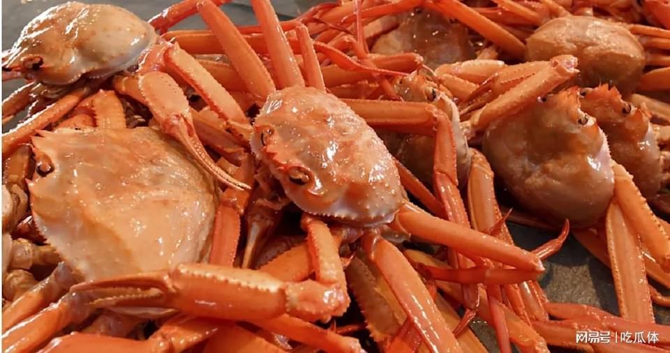 日本小学午餐现整只红松叶蟹，上海家长直呼羡慕