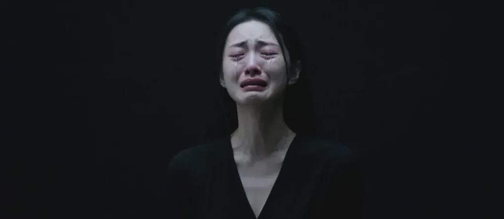 跌光336亿，北大团队炸雷了