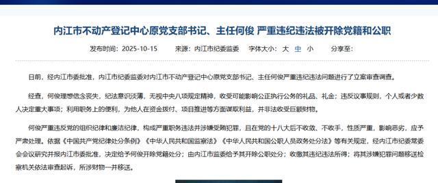 内江市不动产登记中心原主任何俊因严重违纪违法被双开