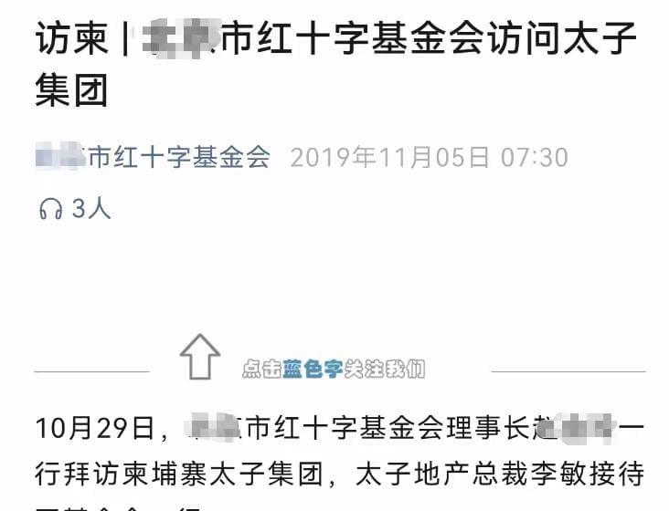 红十字基金会访问太子集团