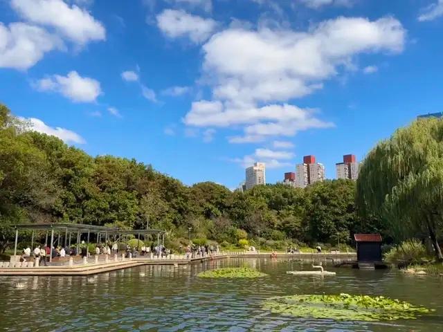 秋意渐退！两股冷空气将至，上海周末天气大变样