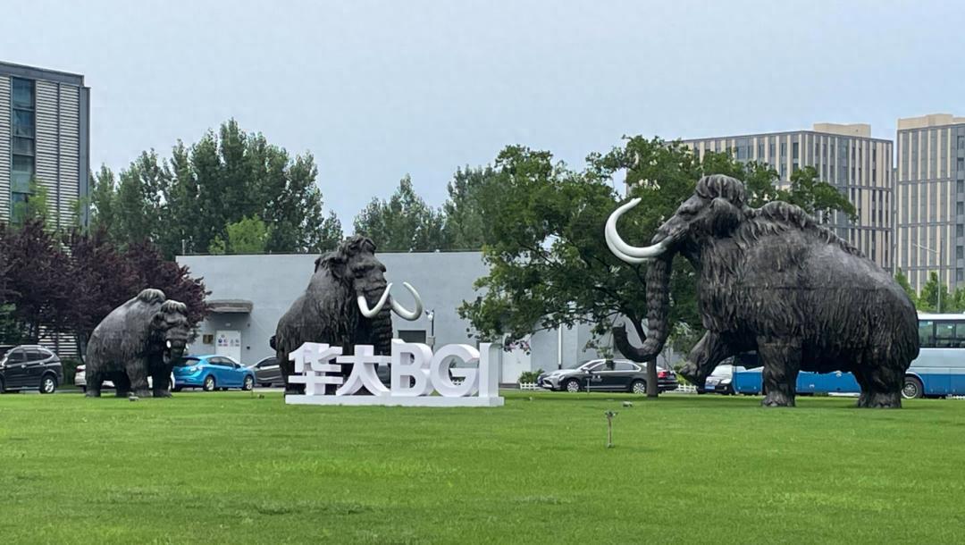 华大智造2025年Q3财报：营收7.55亿增14.5% 净亏1600万 CPE减持