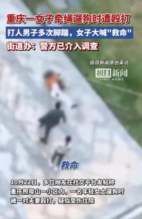 女子遛狗遭围殴事件追踪：打人者身份曝光，私了企图引争议