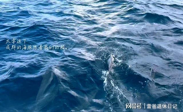 关晓彤马尔代夫度假vlog引热议，泳装浮潜秀长腿成焦点