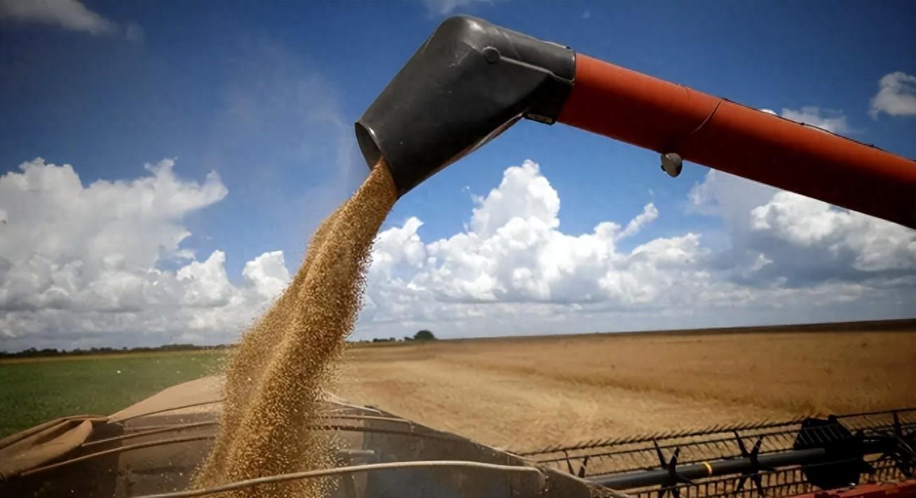 巴西大豆涨价反被制？中国四招反制一周降价700元