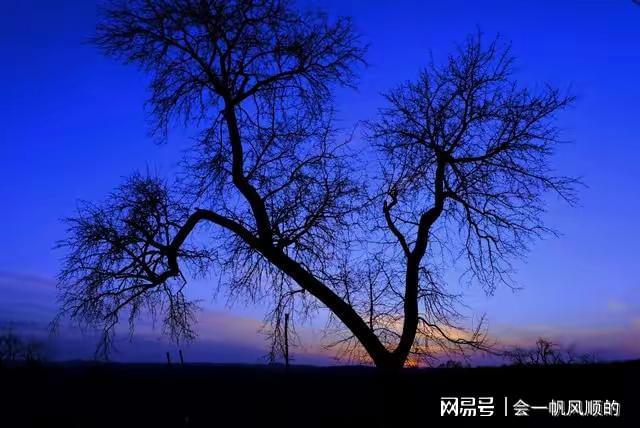 6岁儿子误踢致父亲高位截瘫：一场意外背后的家庭救赎