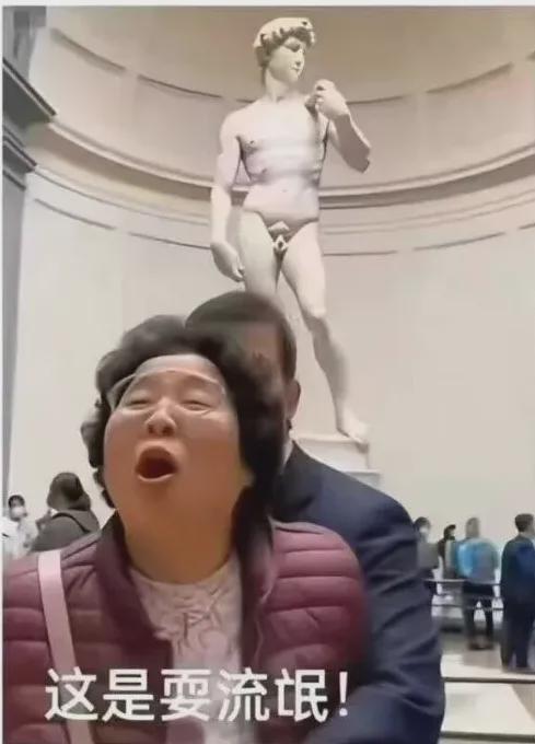 中国大妈佛罗伦萨怒斥大卫雕像：文化碰撞下的审美反思