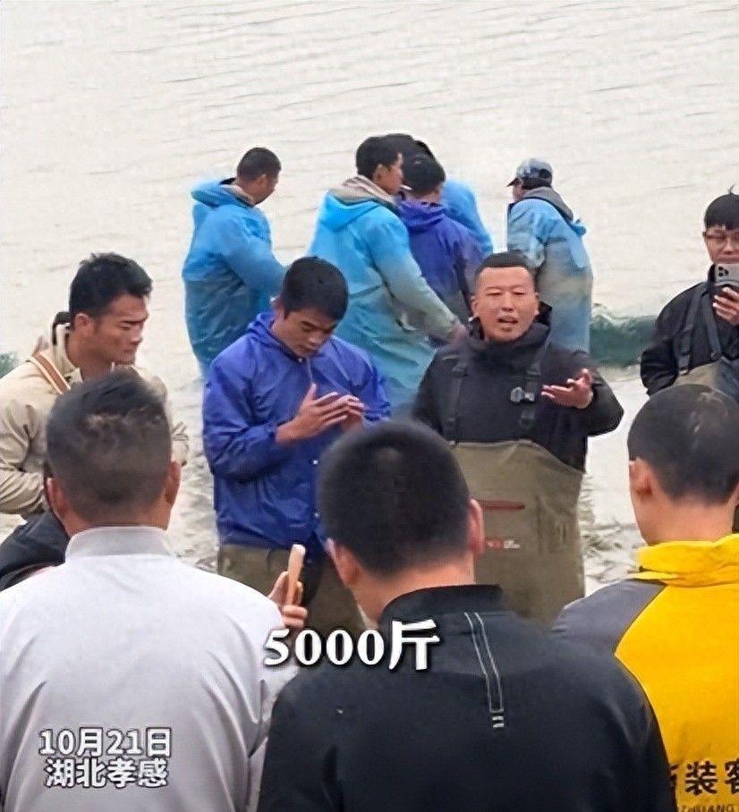 李维刚湖北包塘大反转：7000斤鱼力证清白，孝感小伙力挺