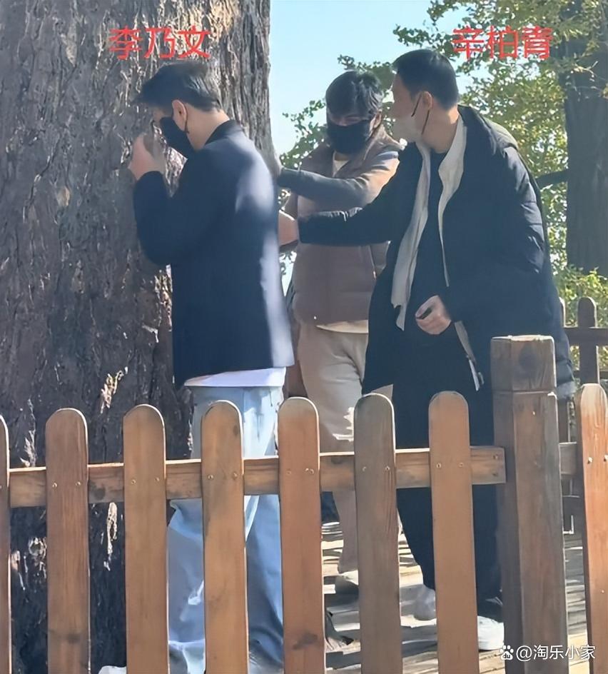 辛柏青近况曝光：日料店偶遇显憔悴，李乃文暖心陪伴