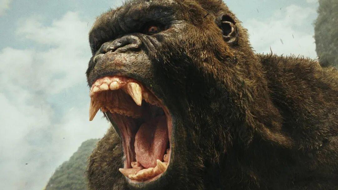 史上所有《金刚》电影完整上映时间线及看点解析