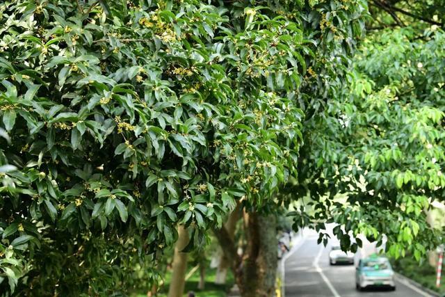 浙江天气大反转：最高温达25℃，局地降雨大风来袭