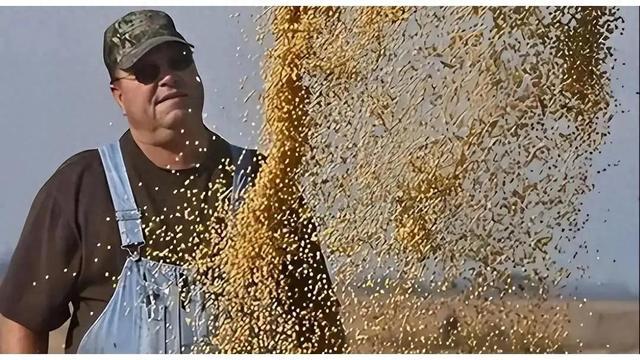 200万吨大豆滞港！巴西误判形势，中国手握三大应对王牌