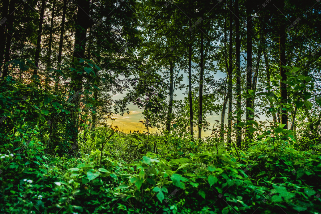 高二女生校园产子：孩子父亲身份曝光引发轩然大波
