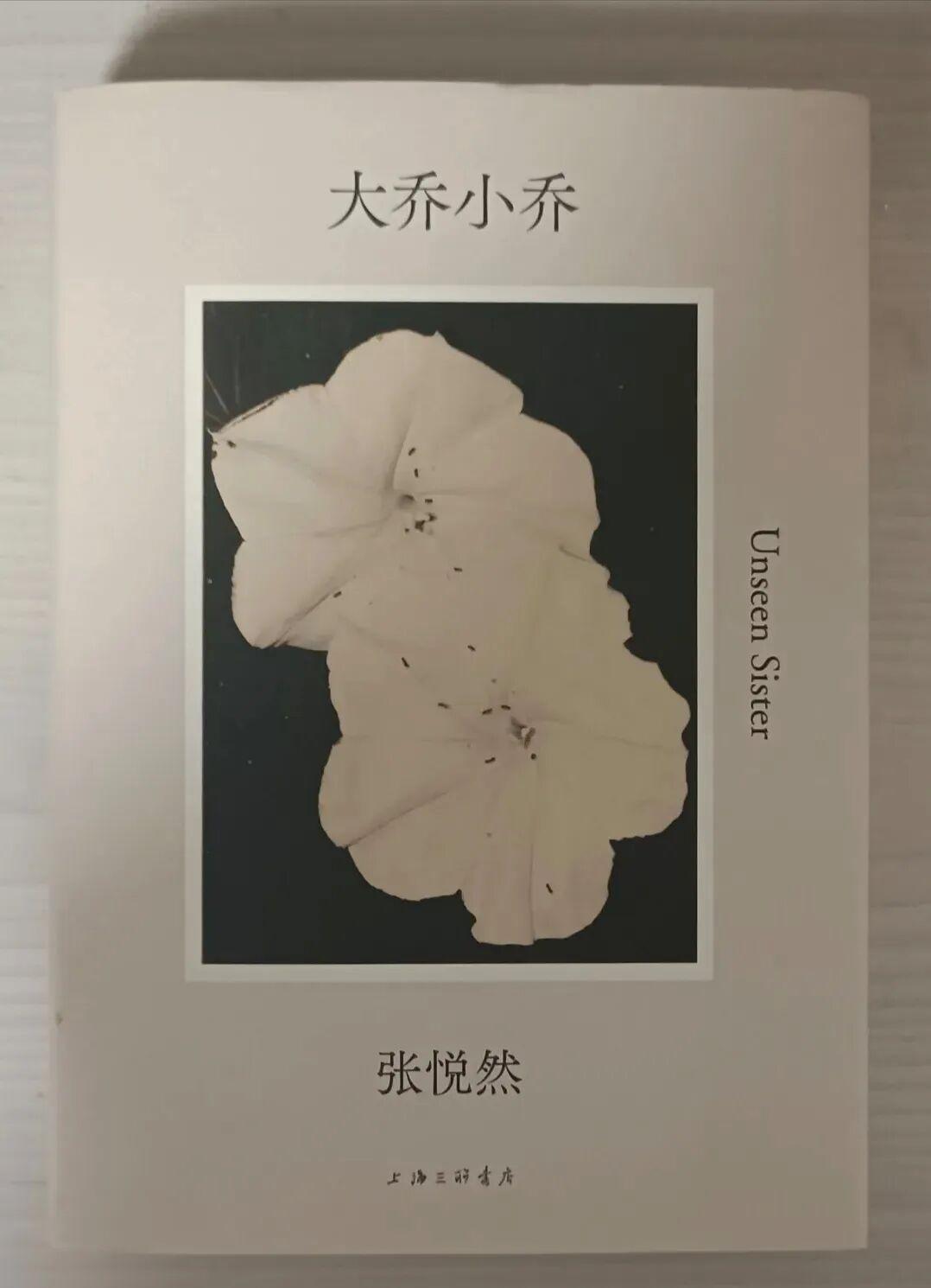 《大乔小乔》：引产幸存与溺亡苦难的姐妹命运交织