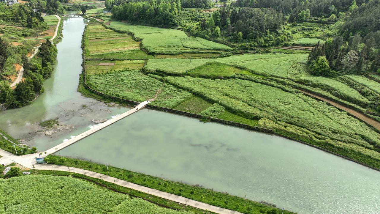 狠与狂的对决：杨德海与张老大的江湖恩怨