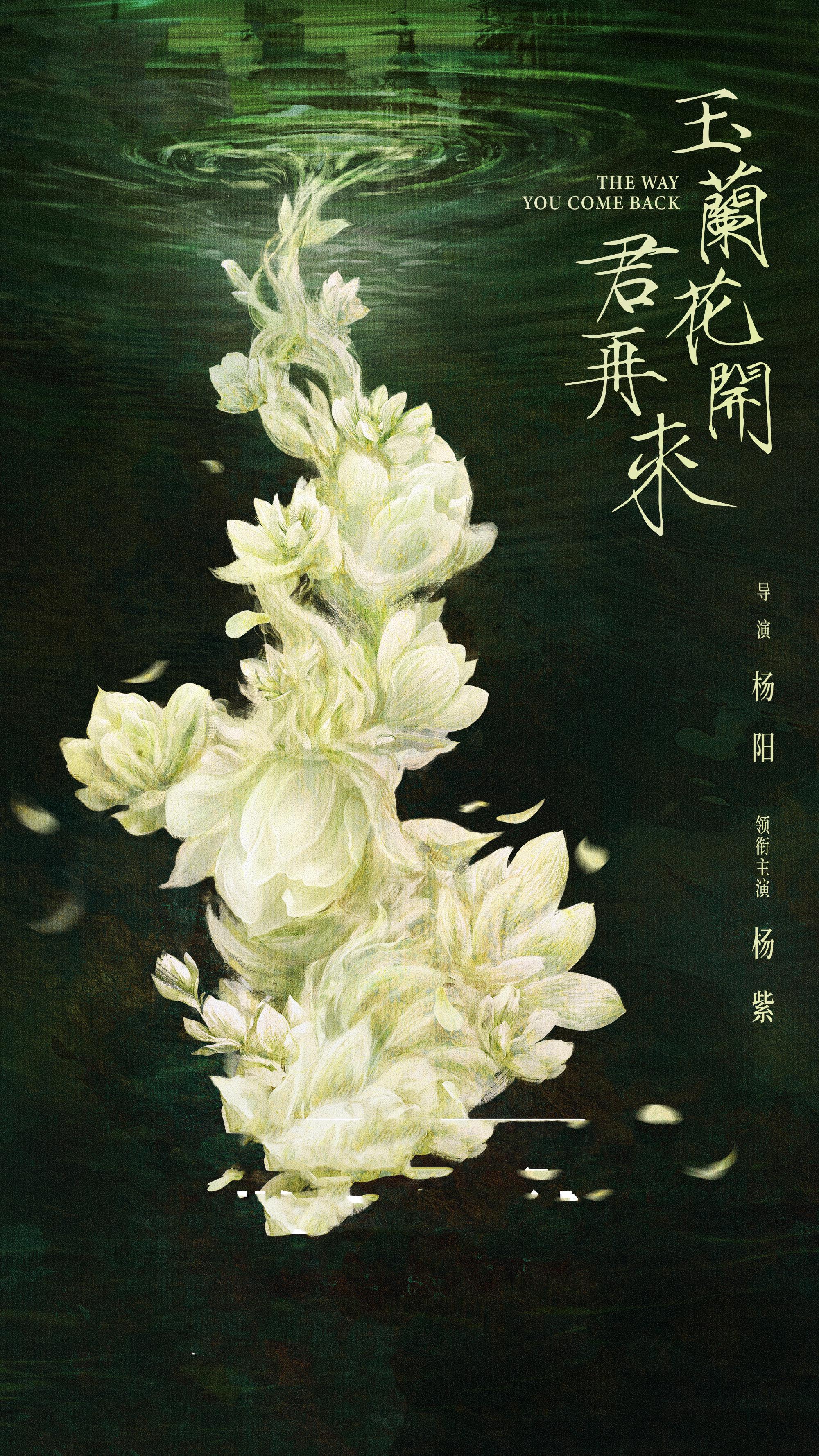 《玉兰花开君再来》官宣！杨紫首演民国大女主，爆款预定！