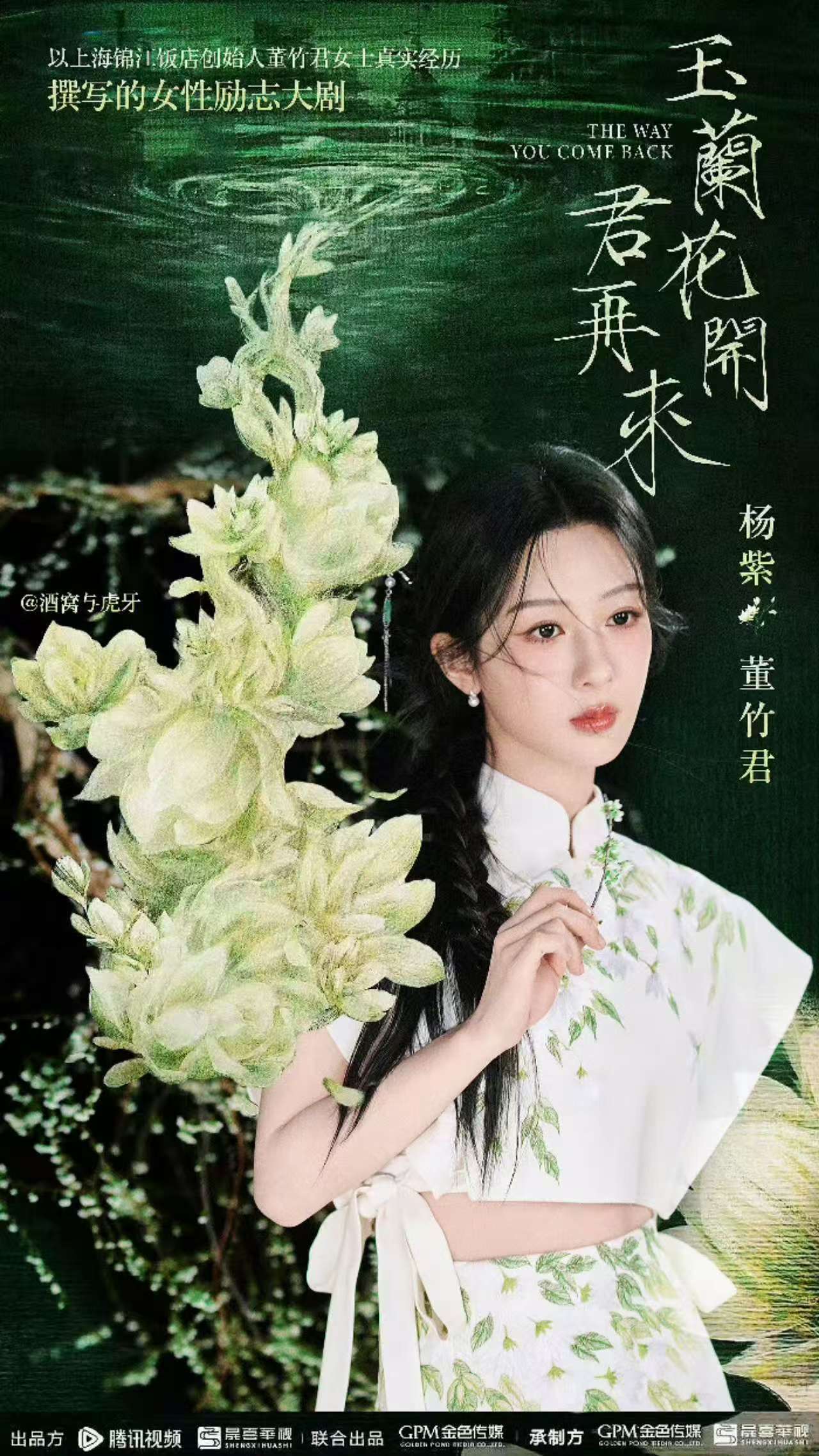 《玉兰花开君再来》官宣：杨紫演绎传奇女性，男主悬念引热议