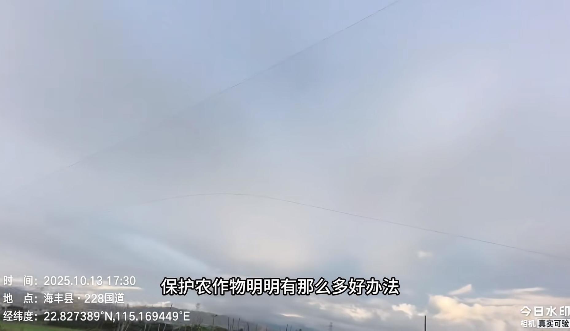 广东海丰现大片鸟网引关注 林业局：已拆除并加强生态保护巡查