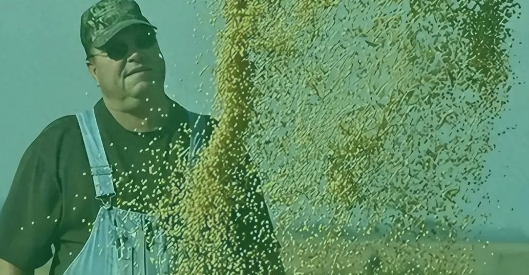 200万吨巴西大豆烂港！中国48小时反制，贸易博弈显实力