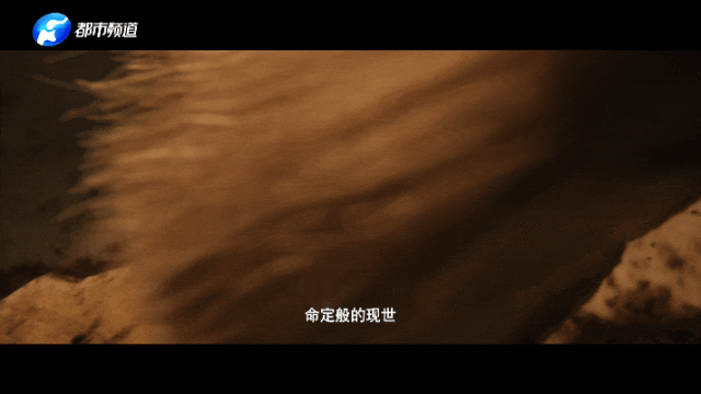 今晚首播！跟随奚美娟探秘三千年甲骨文明